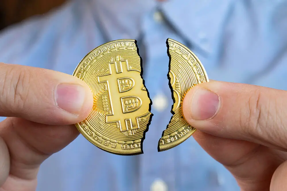 How many Bitcoin Halvings are left?