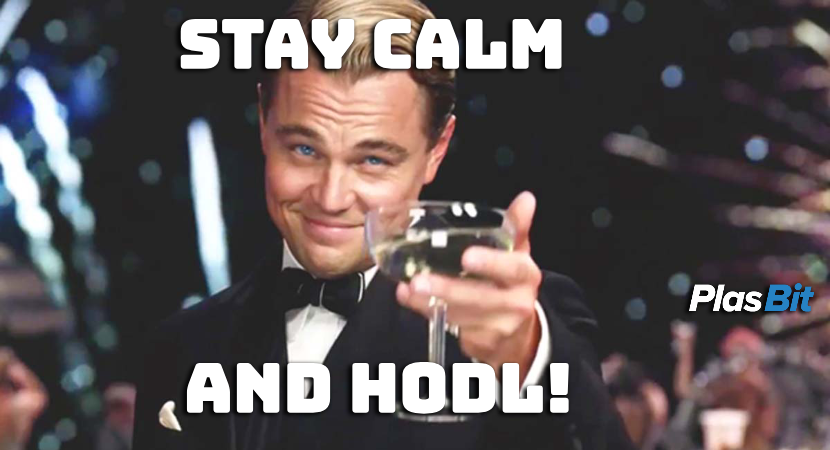 HODLing vs Trading crypto: Stay calm and hodl