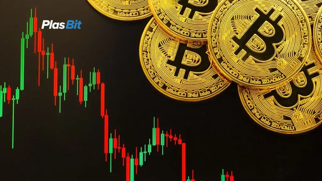 What Was the Price of Bitcoin In 2015?