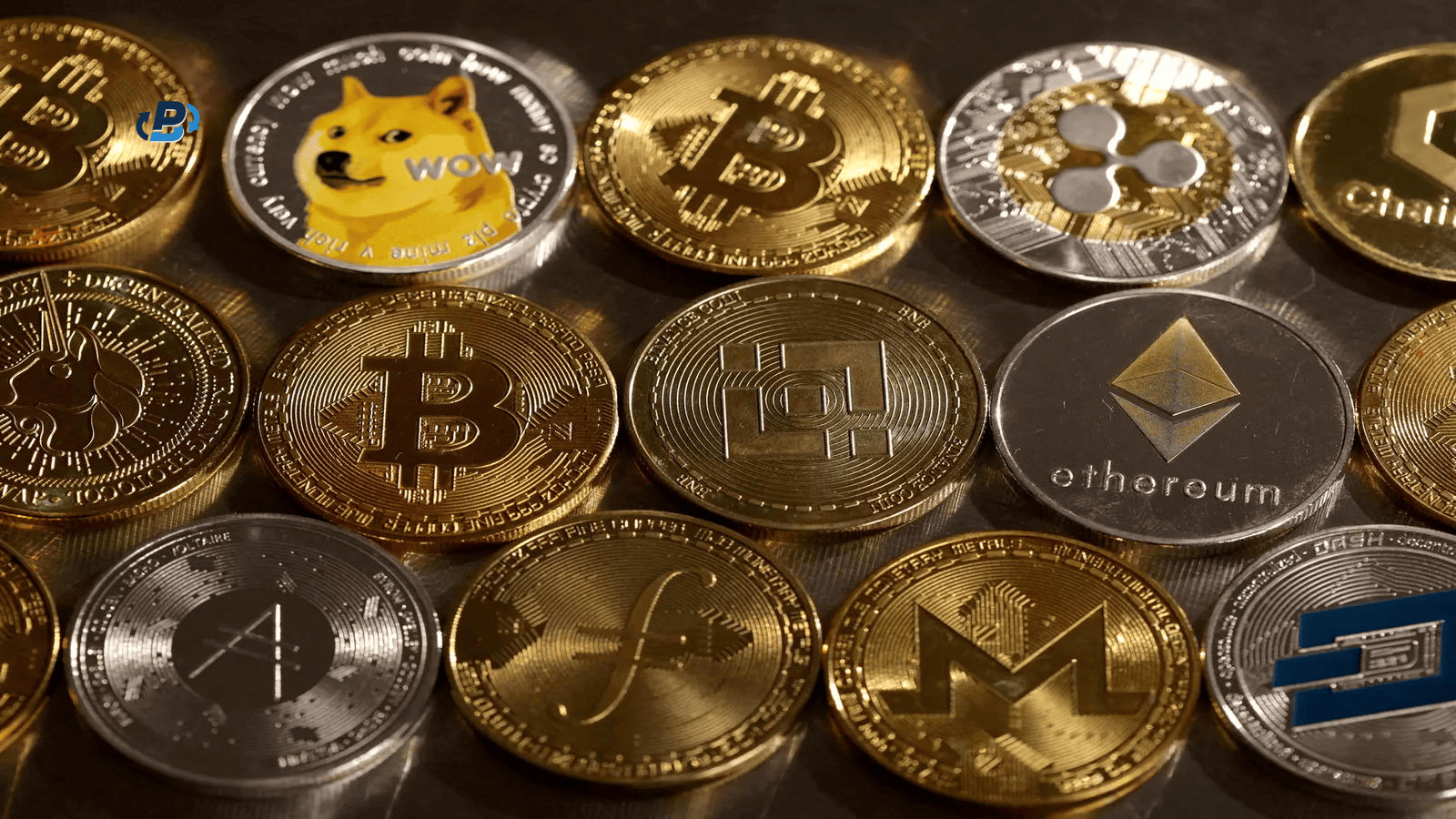 Which crypto will make you rich?