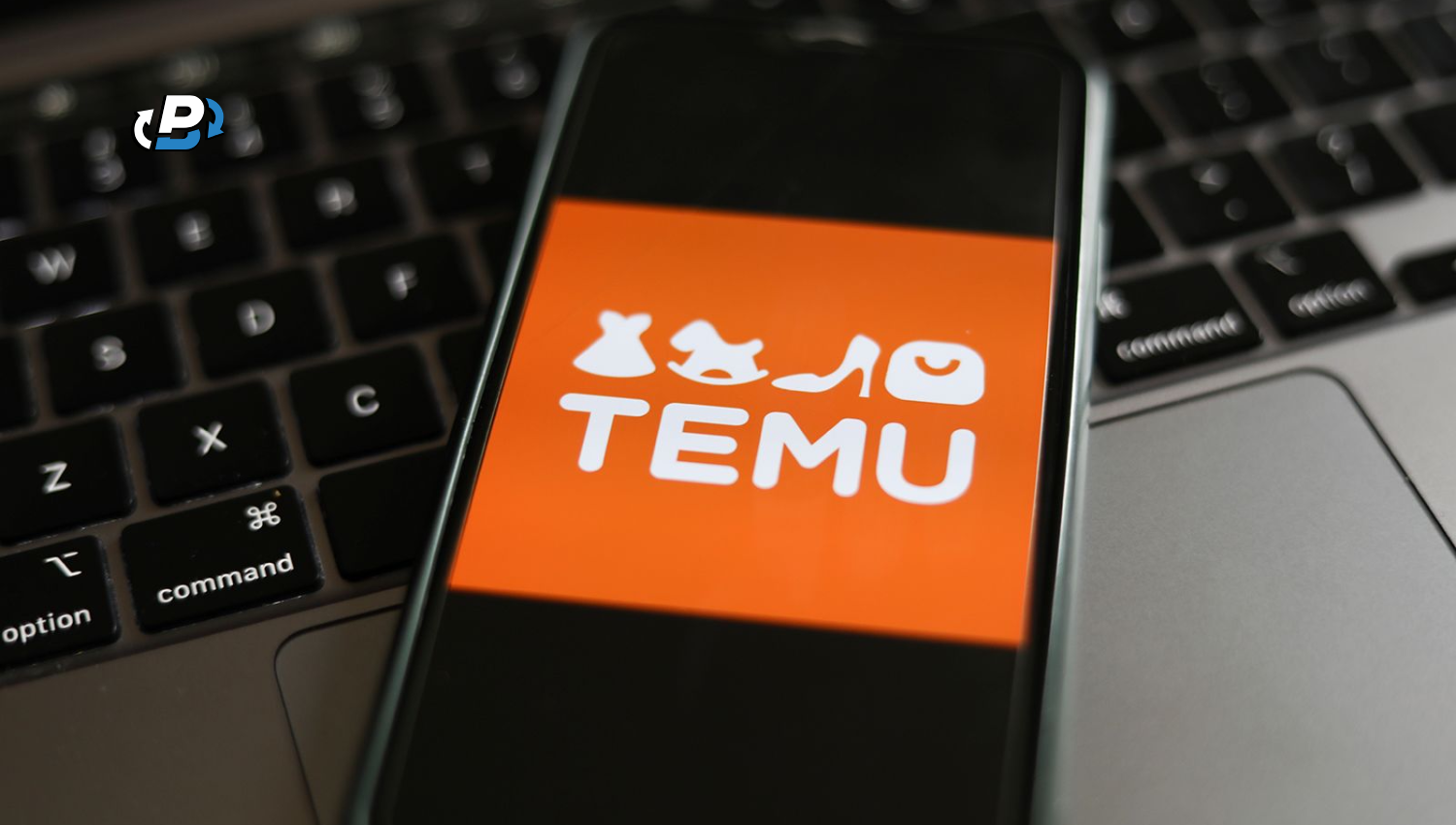 How To Pay For Temu Anonymously?