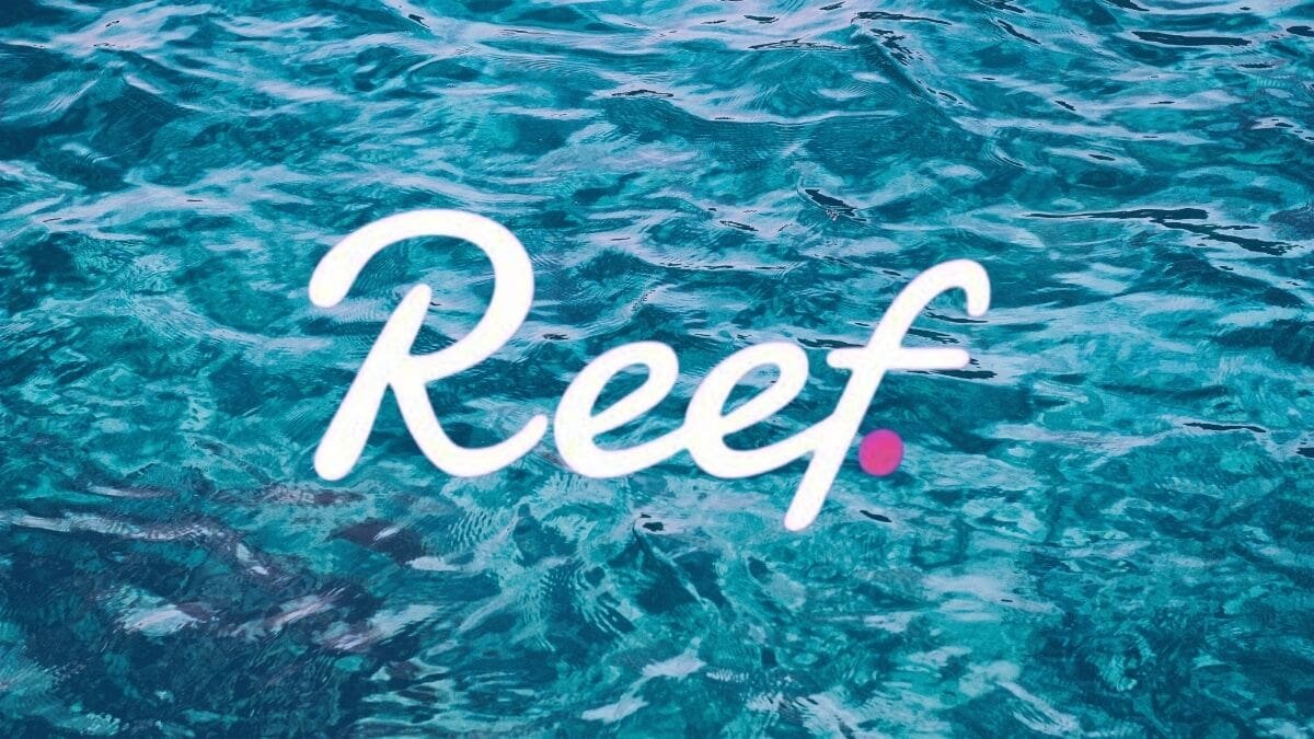 reef crypto