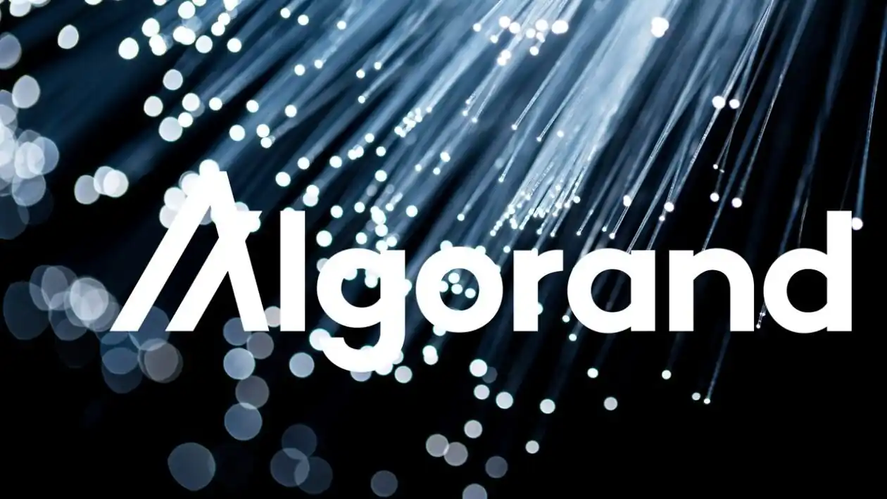 algo crypto