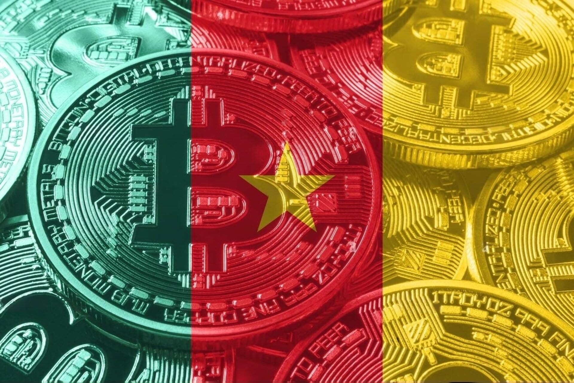Cryptocurrency for Beginners in Cameroon