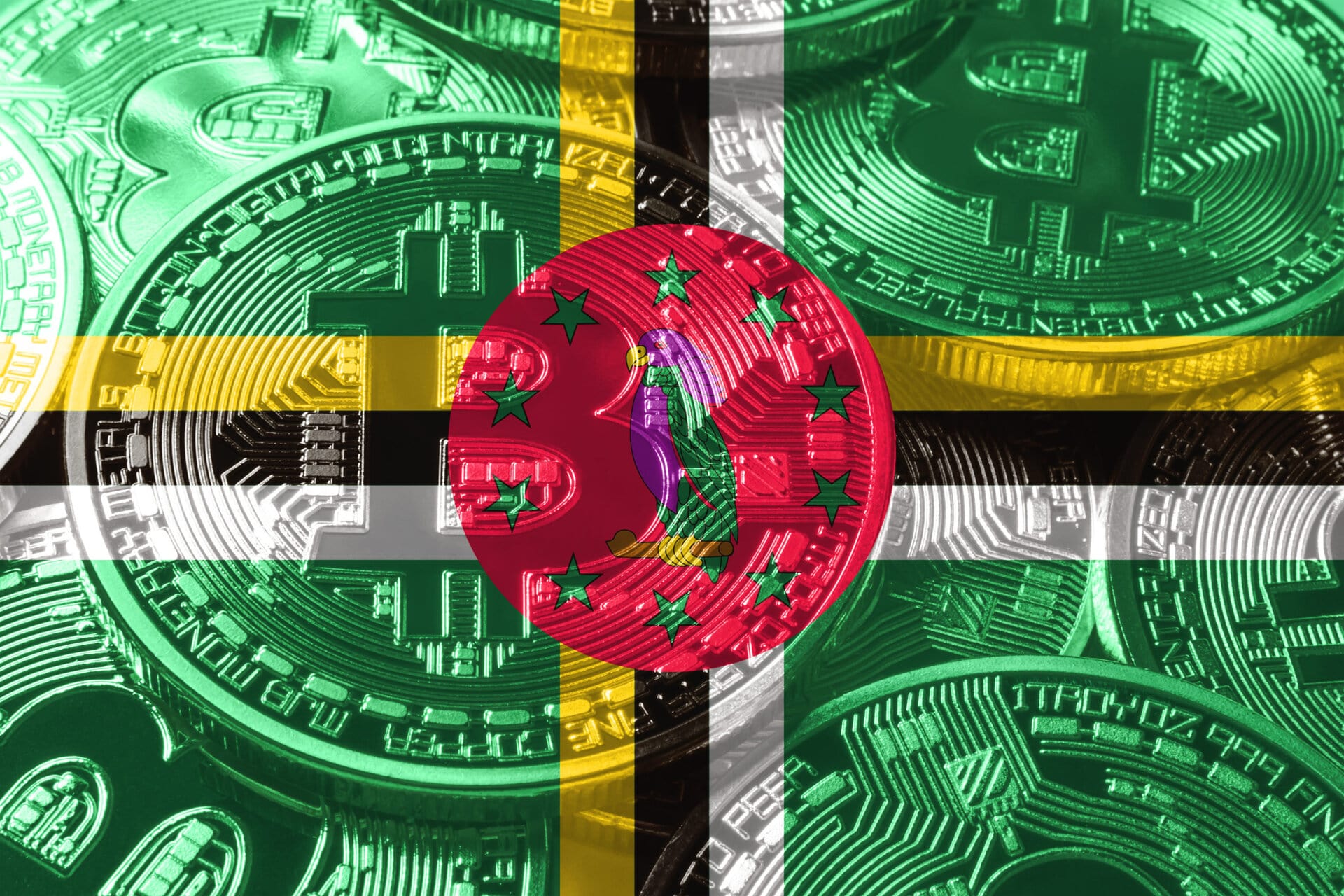 Cryptocurrency for Beginners in Dominica