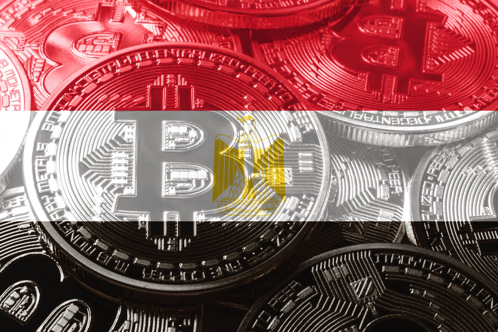 Cryptocurrency for Beginners in Egypt