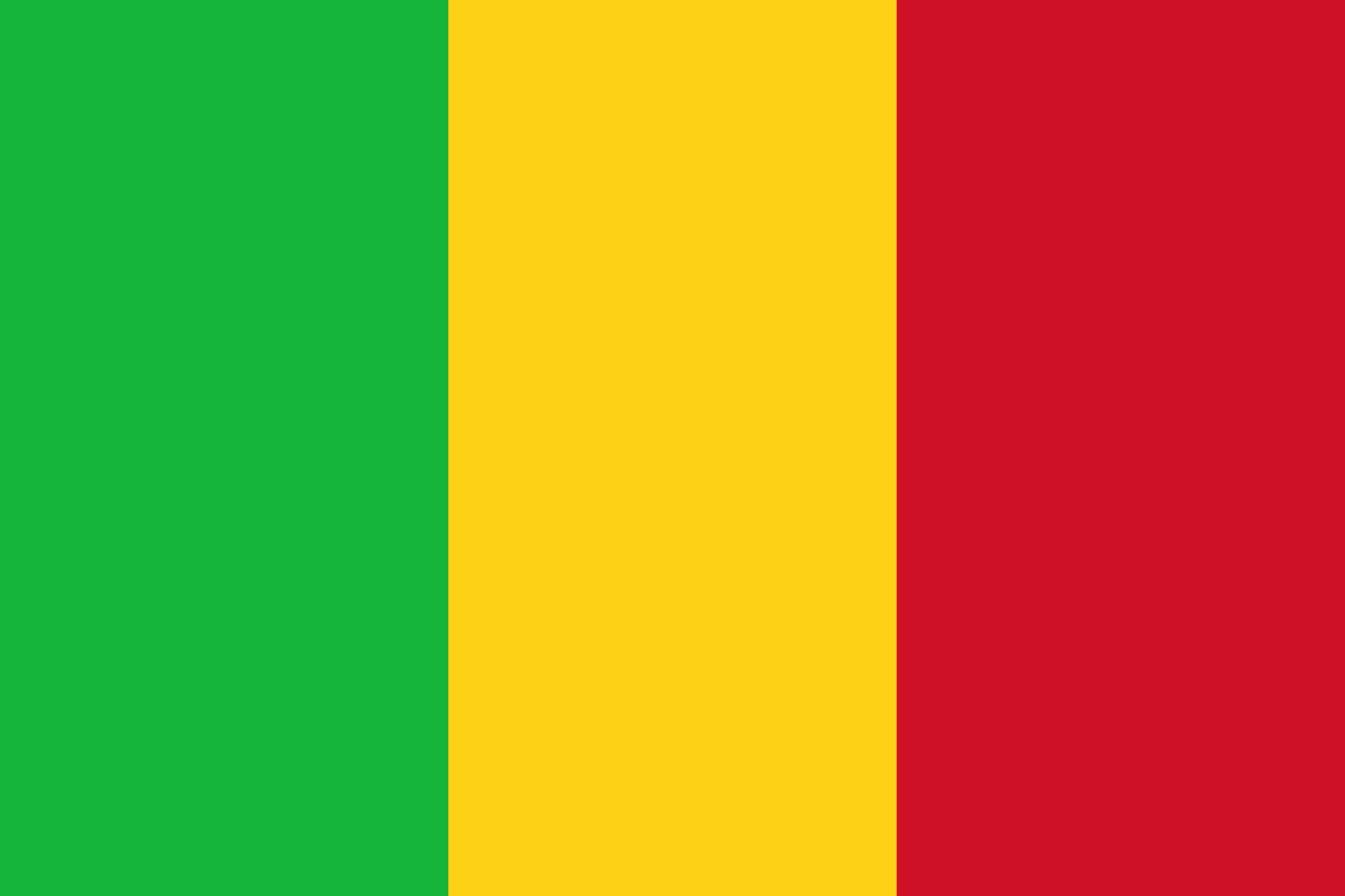 Cryptocurrency for Beginners in Mali