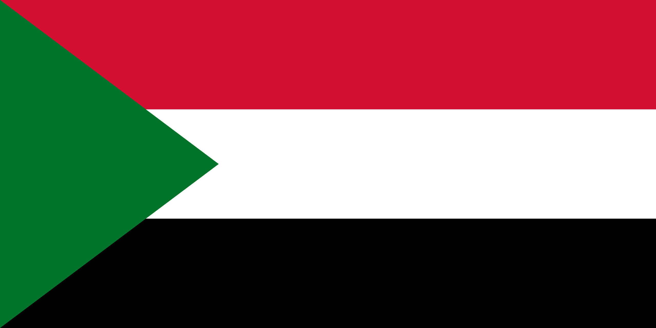 Cryptocurrency for Beginners in Sudan