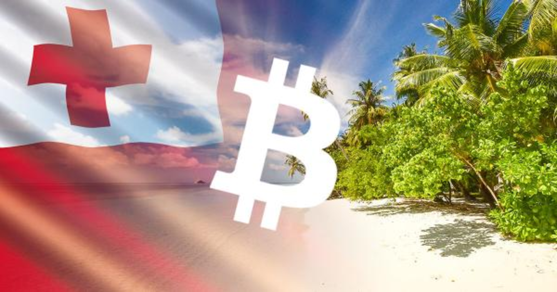 Cryptocurrency for Beginners in Tonga
