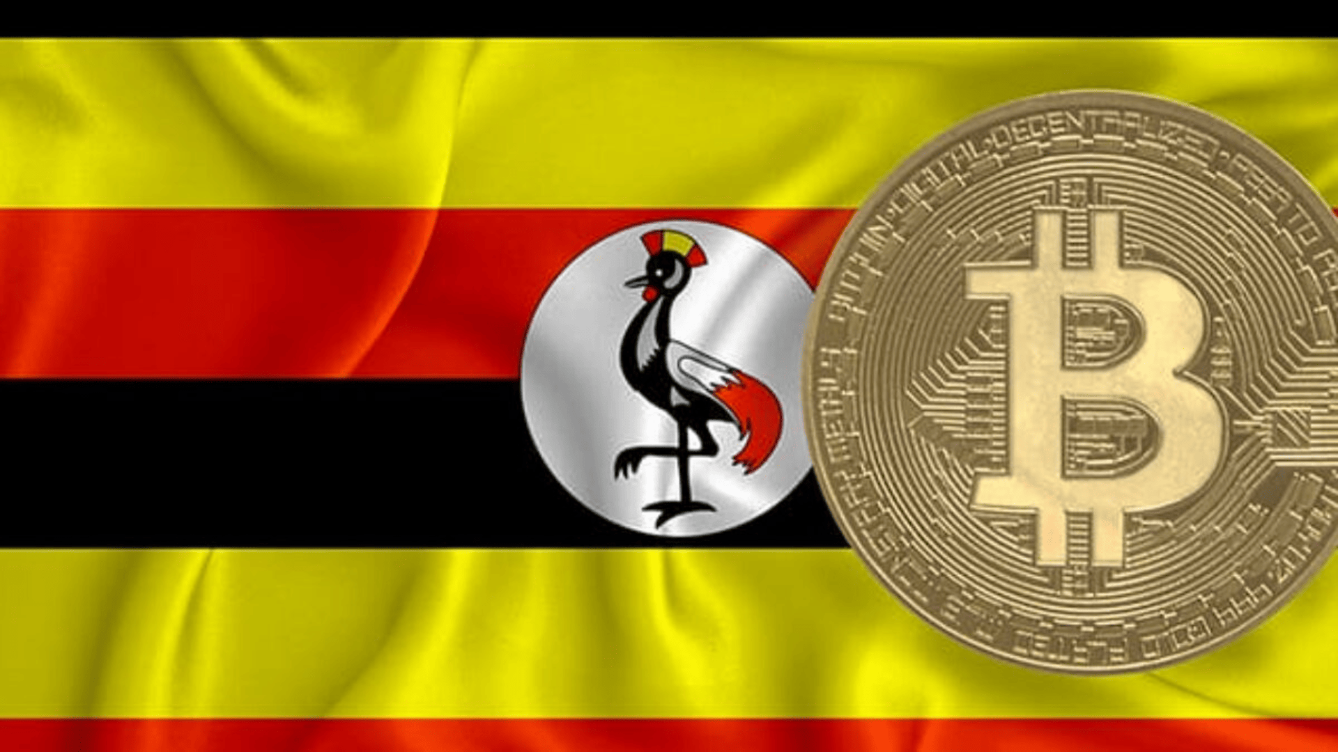 Cryptocurrency for Beginners in Uganda