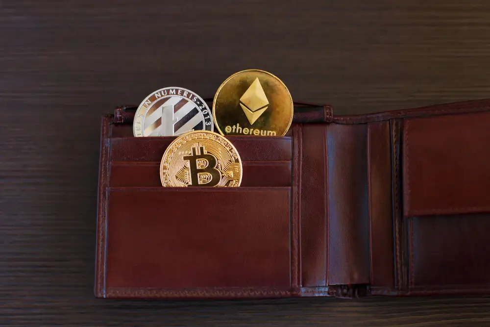 best crypto wallet 2024