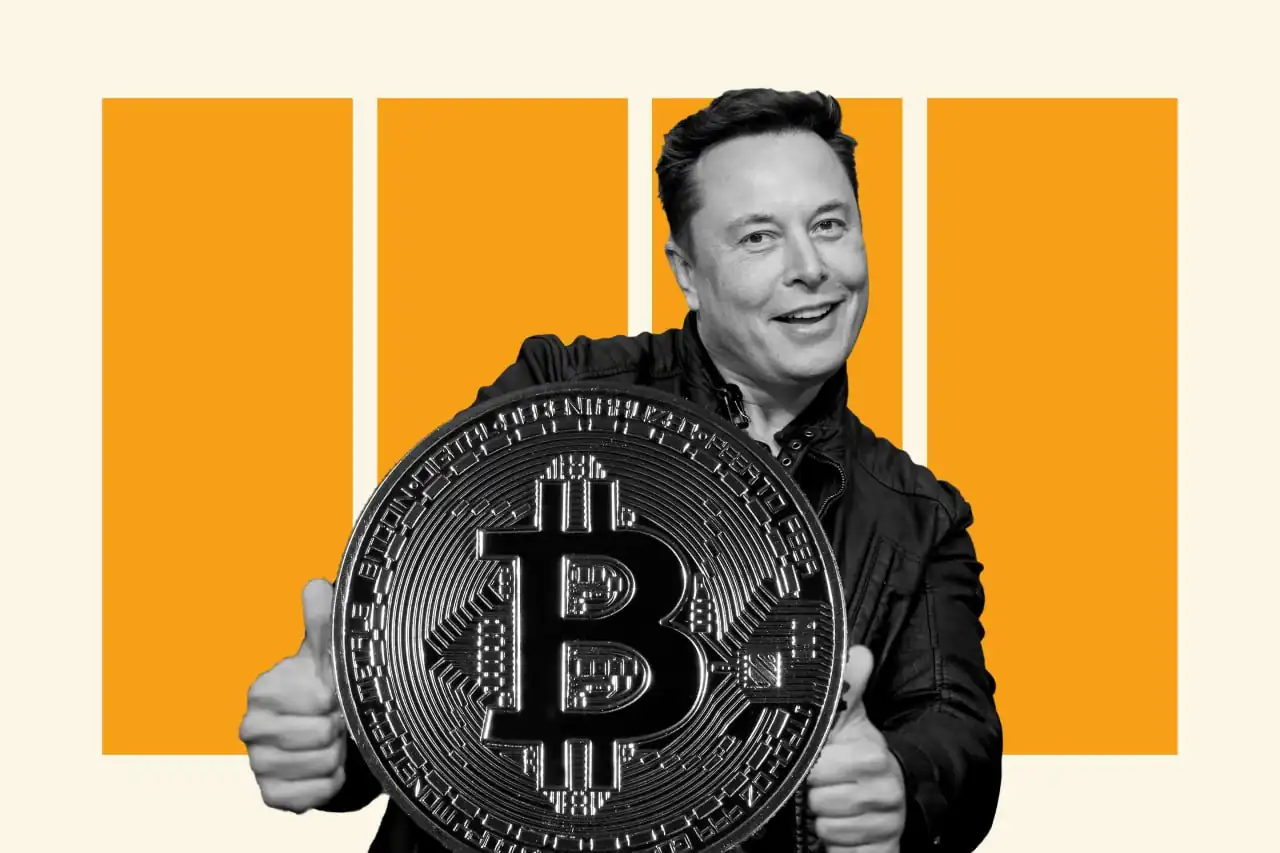 elon crypto