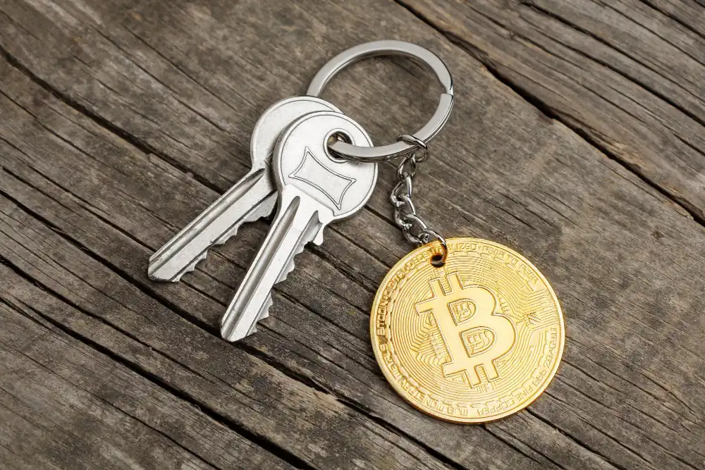not your keys not your coins